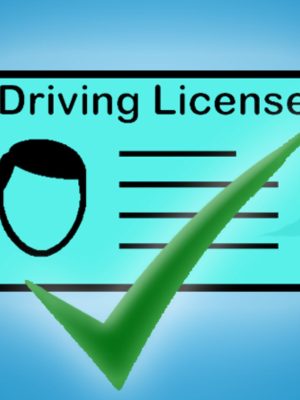 Drivers Licence Verification